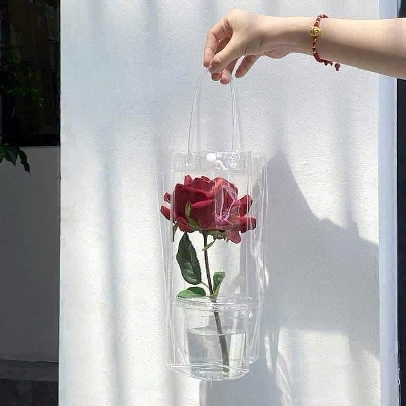 Túi đựng bình nước trong suốt  25x10x10cm