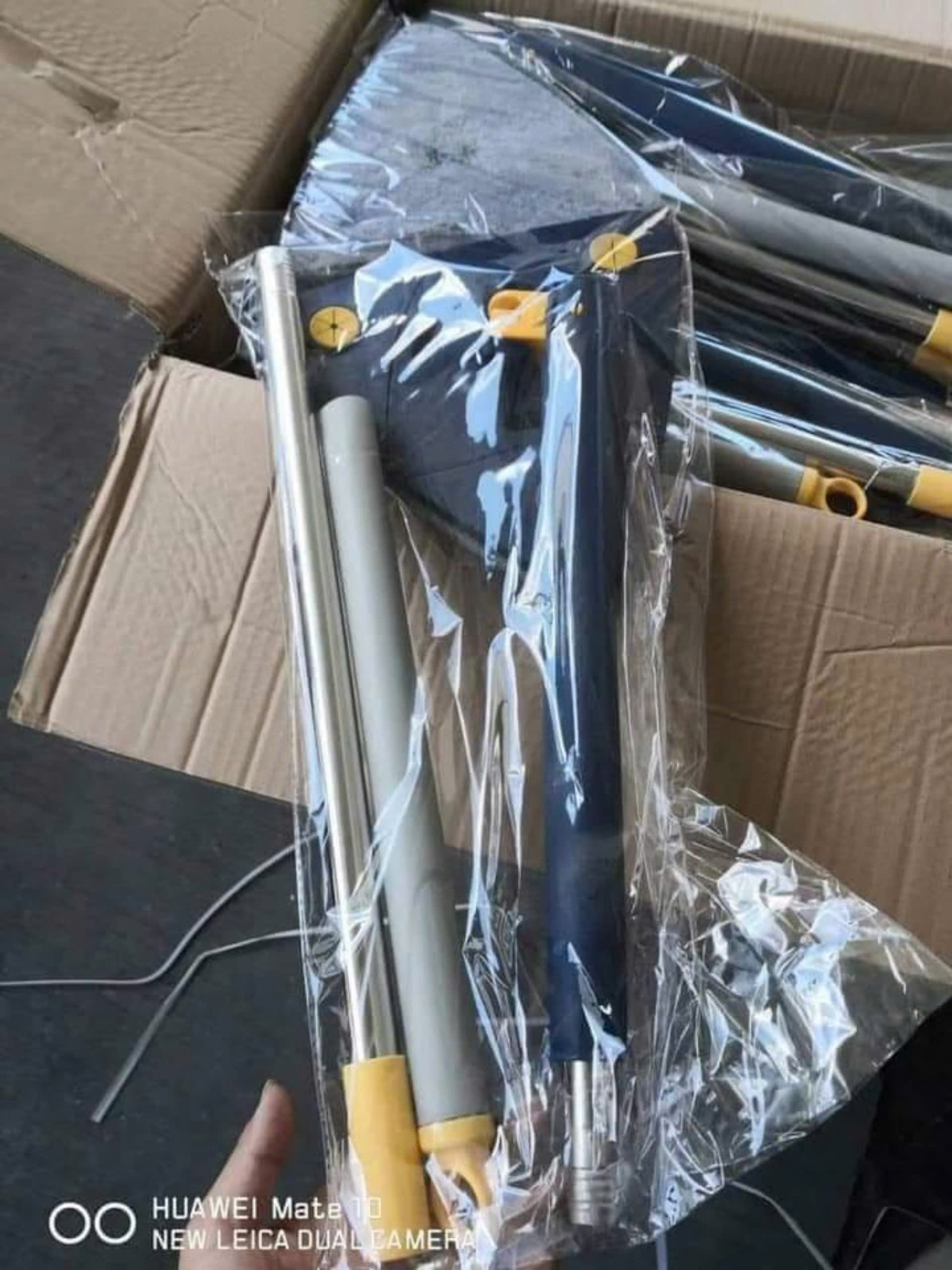 Cây lau nhà tam giác