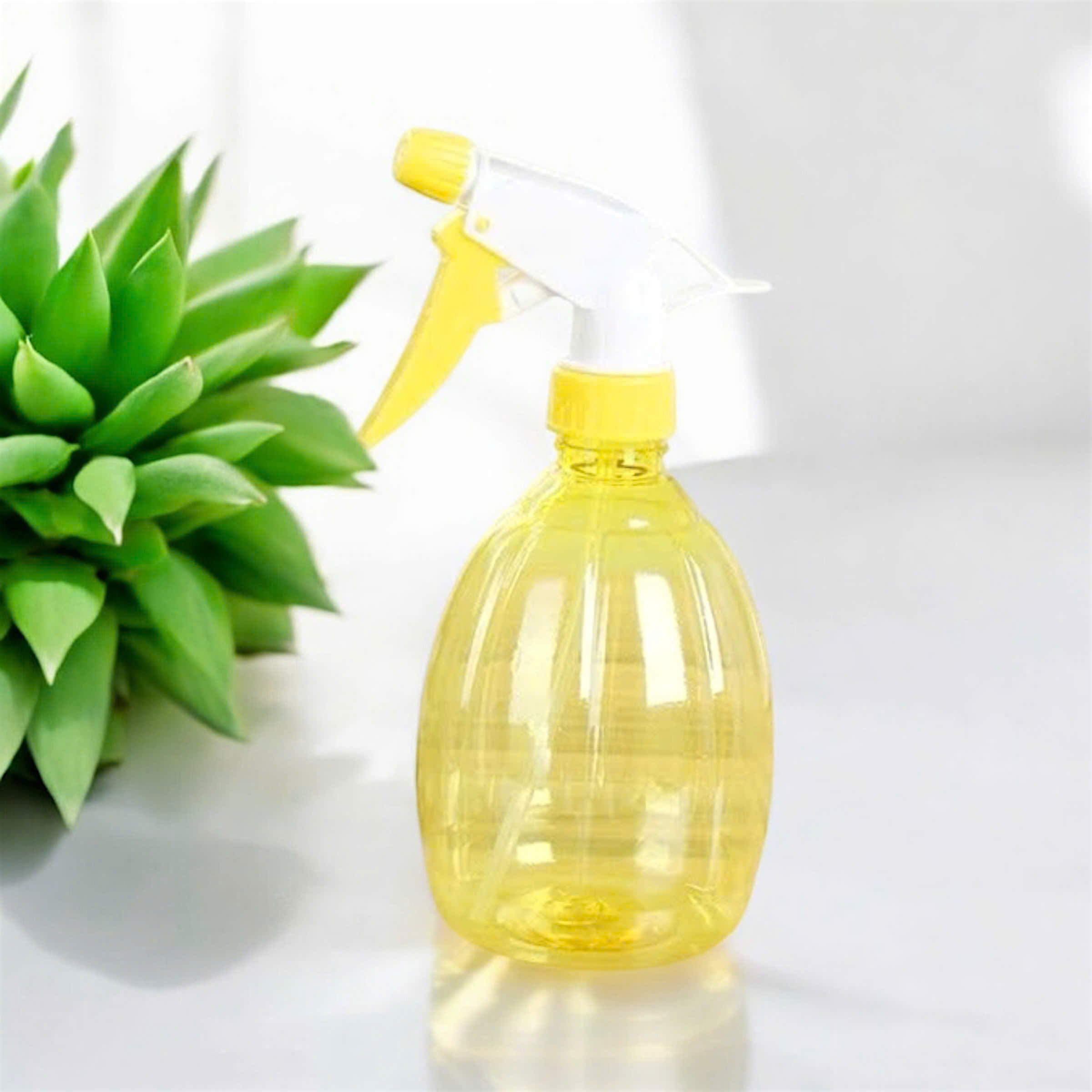 Bình xịt nước tưới cây mini nhỏ gọn 19cm