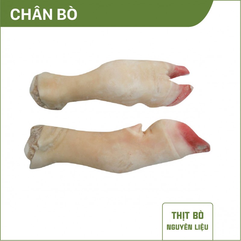 Chân bò NL
