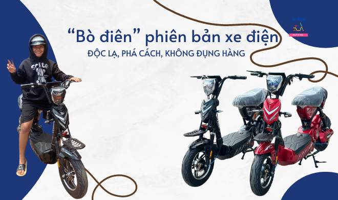 Bò điên phiên bản xe điện: Độc lạ, phá cách, không đụng hàng