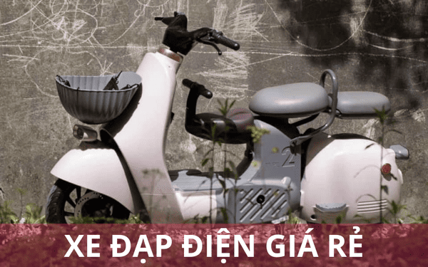 Các mẫu xe đạp điện giá rẻ và chất lượng