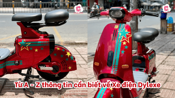 Các mẫu xe điện dylexe được yêu thích nhất 2025