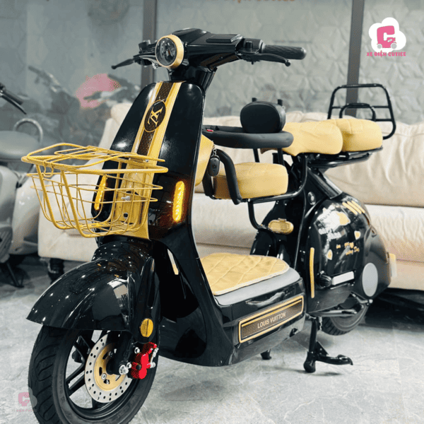 Mẫu xe điện giá 14 triệu Lihaze 13 phiên bản cá tính