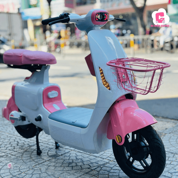 Các tiêu chí quan trọng khi chọn mua xe đạp điện nữ 