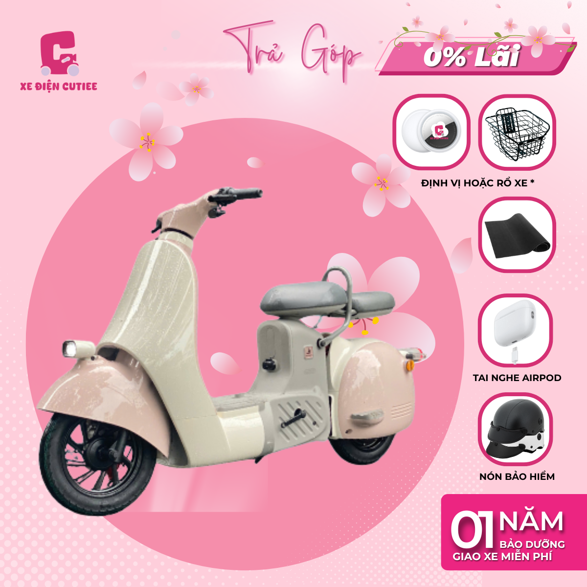 Xe Đạp Điện Dreaform Type 2