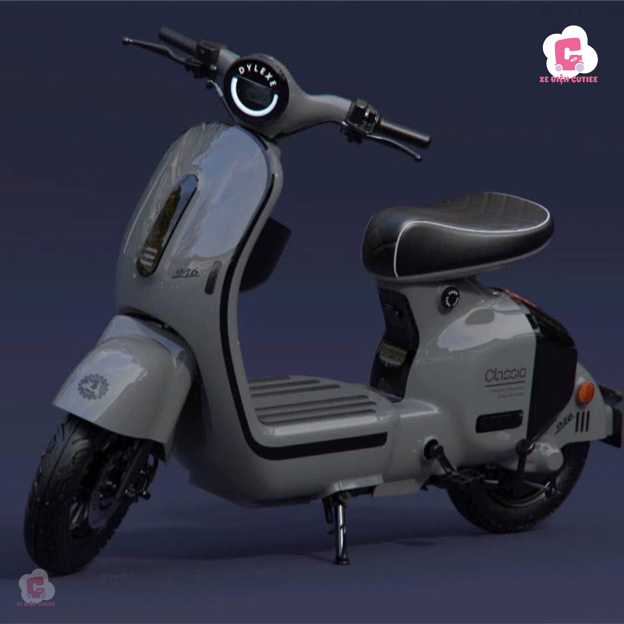 Xe Điện X1