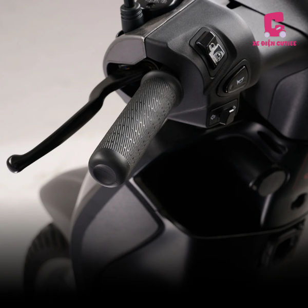 Xe Dat Bike Quantum S2