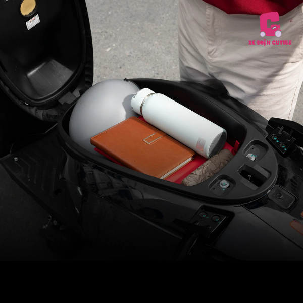 Xe Dat Bike Quantum S3