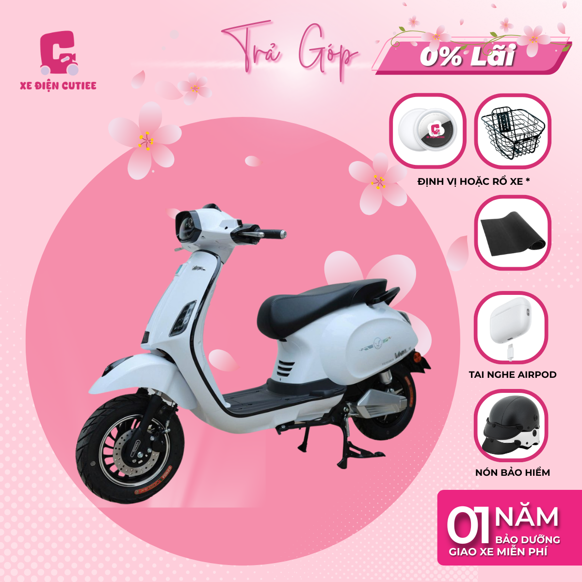 Xe Máy Điện Victoria V88