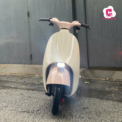 Xe Đạp Điện Dreaform Type 2