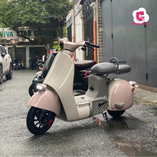 Xe Đạp Điện Dreaform Type 2