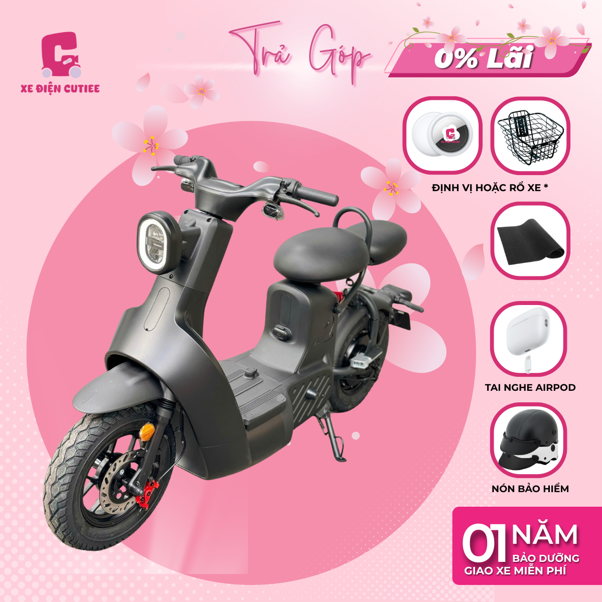 Xe Đạp Điện Dreaform Type 3