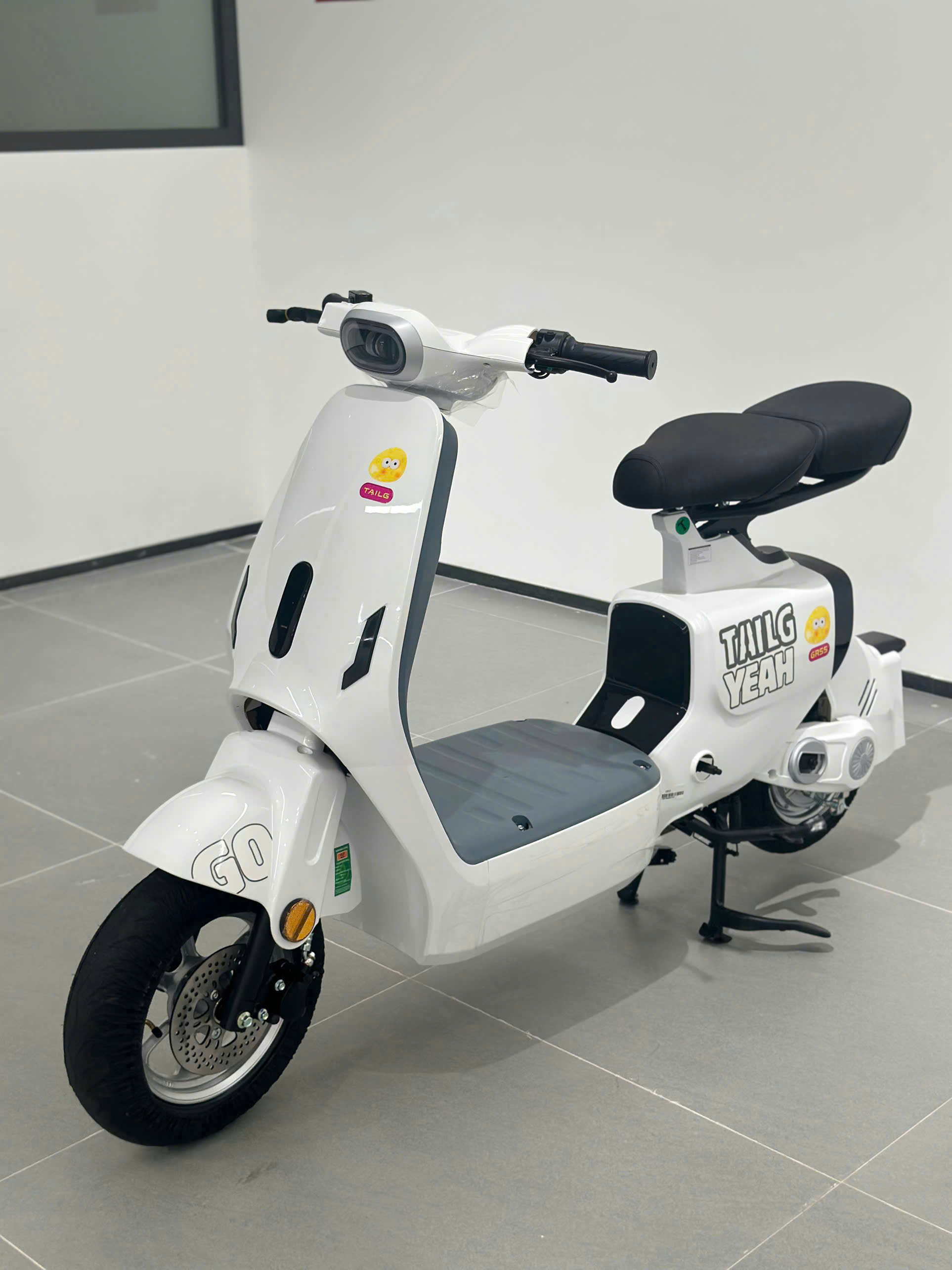 Xe Điện GR55 Plus 2025 Tailg - Hãng Xe Top 3 TG