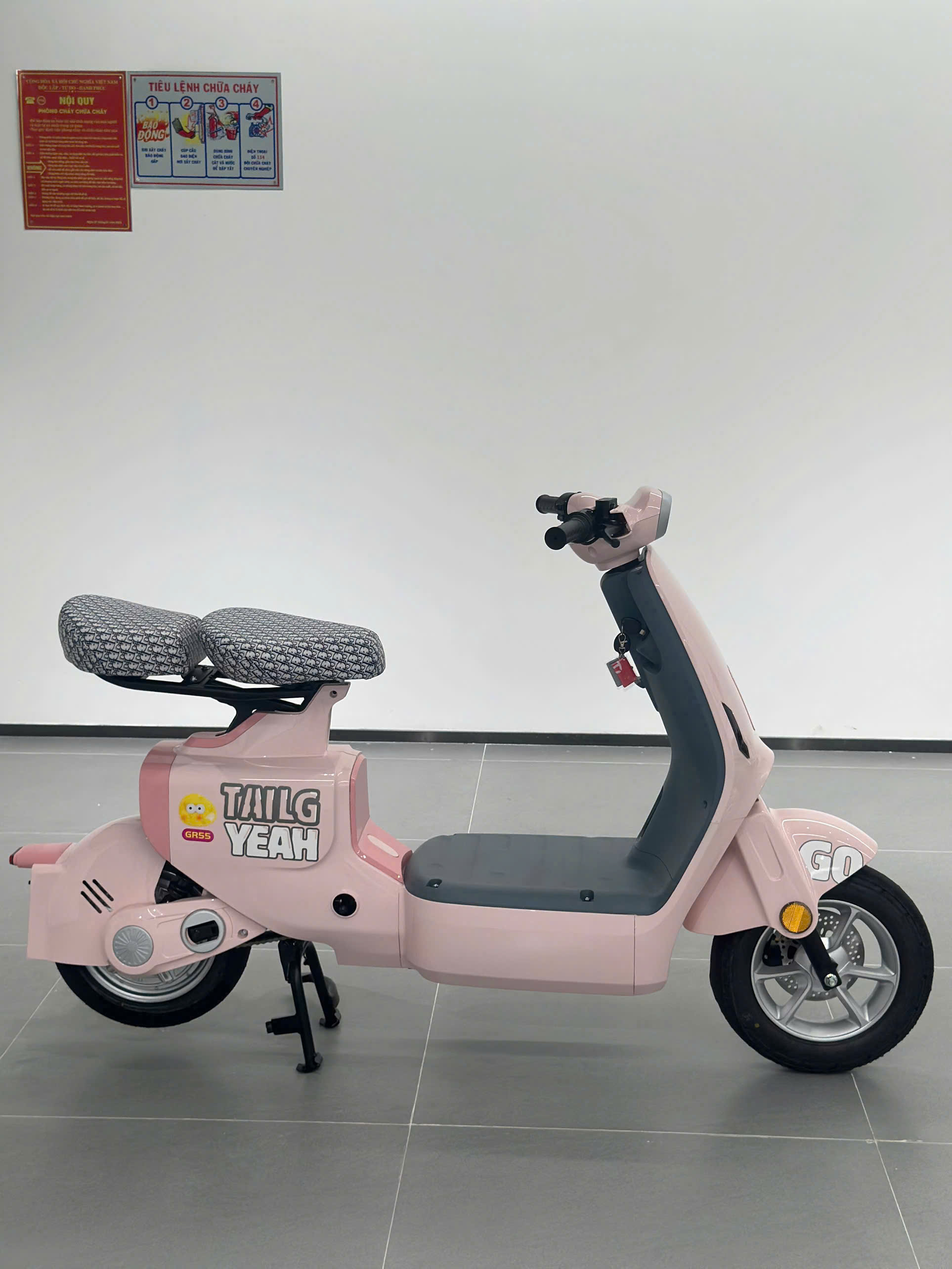 Xe Điện GR55 Plus 2025 Tailg - Hãng Xe Top 3 TG