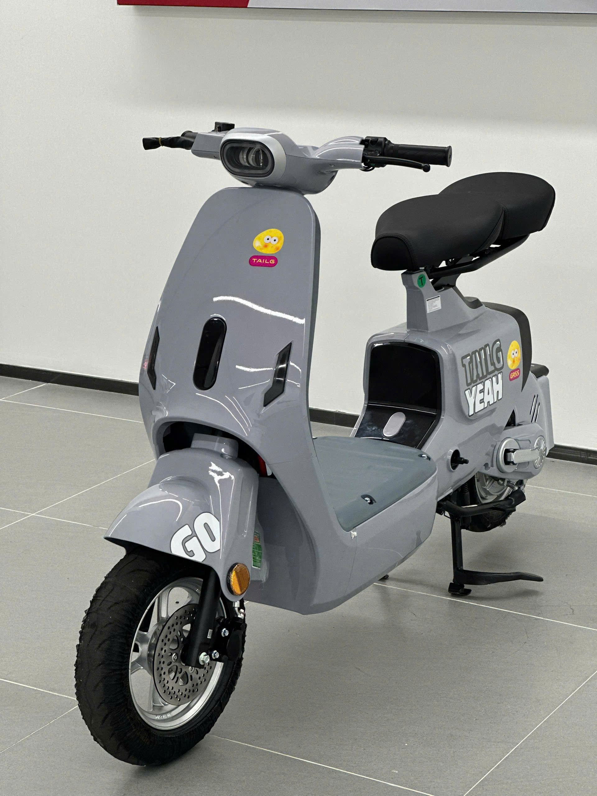 Xe Điện GR55 Plus 2025 Tailg - Hãng Xe Top 3 TG