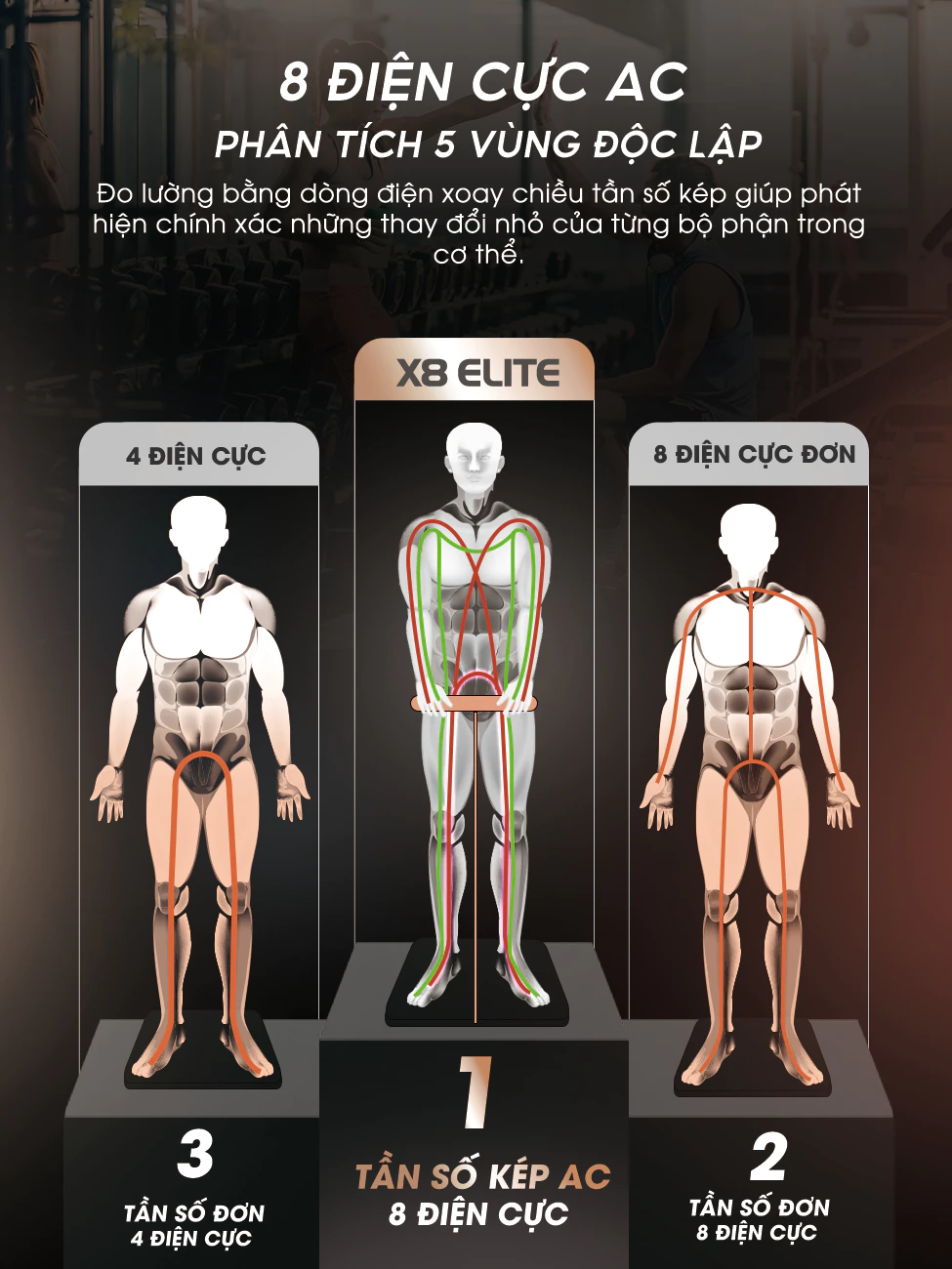 Cân Phân Tích Thành Phần Cơ Thể Ajido ScanBody X8 Elite