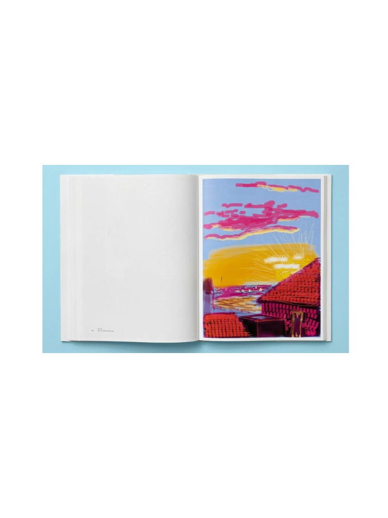 David Hockney. My Window