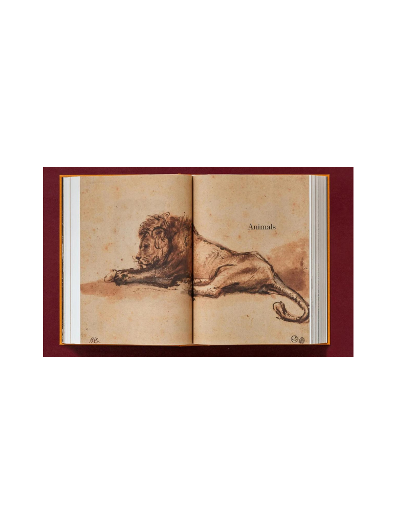 Rembrandt. Complete Drawings And Etchings