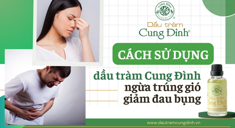 Cách sử dụng dầu tràm Cung Đình ngừa trúng gió, giảm đau bụng
