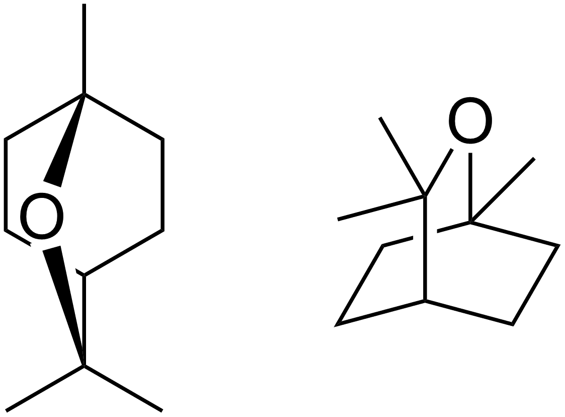 Công dụng của hoạt chất Alpha - Terpineo và Cineol có trong Dầu Tràm