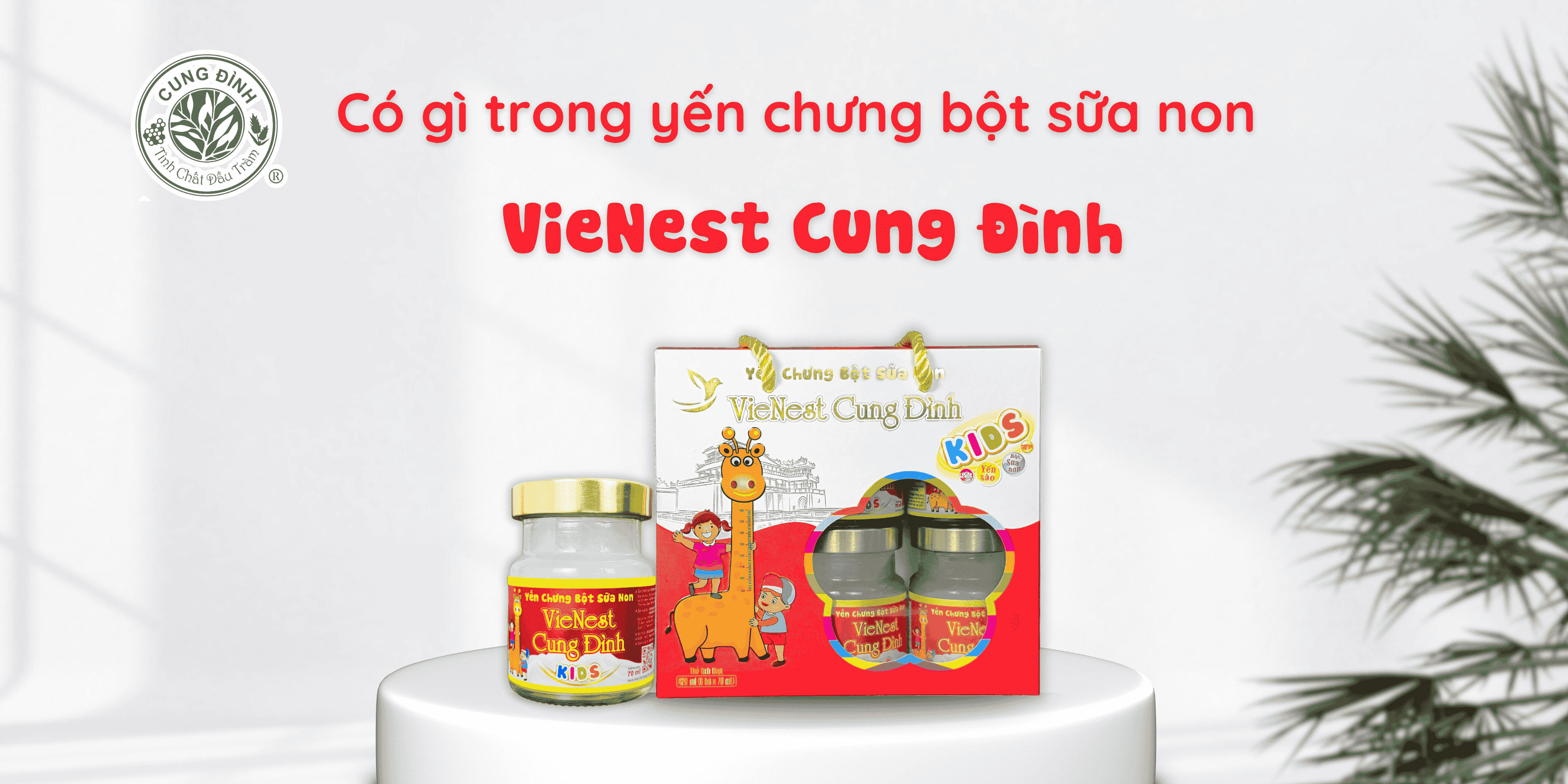 Có gì trong những hũ Yến chưng bột sữa non VieNest Cung Đình cho bé?