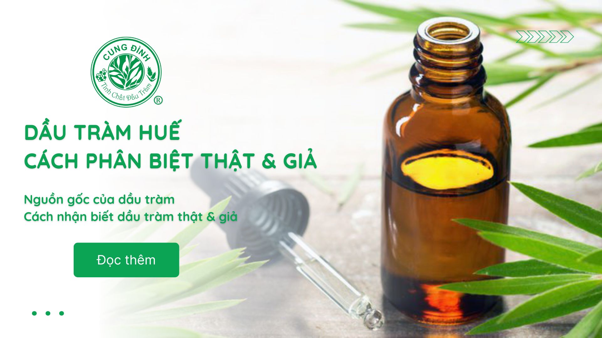 Dầu tràm Huế: Nguồn gốc, cách phân biệt thật giả chính xác