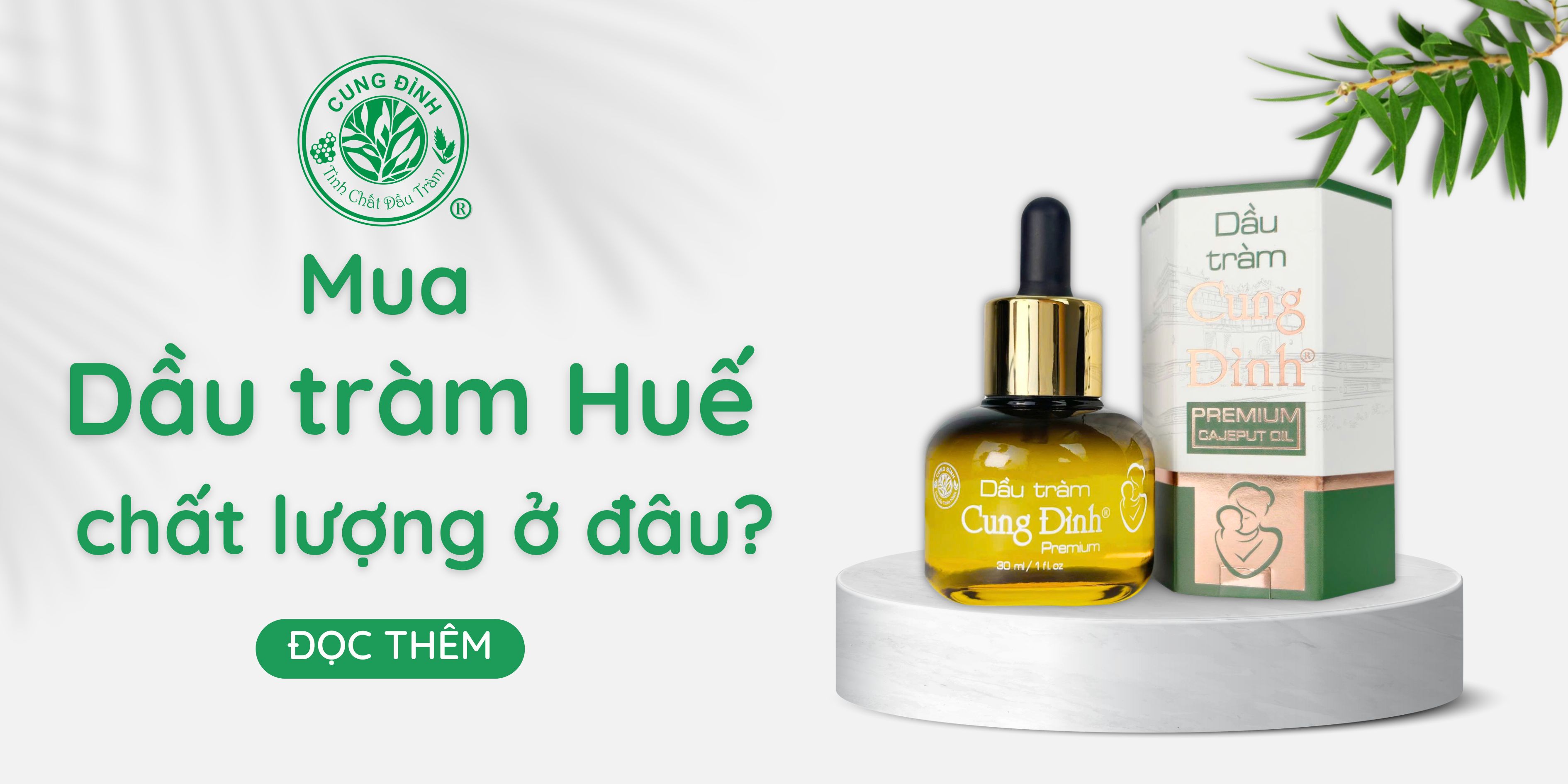 Mua dầu tràm ở đâu uy tín, chất lượng, giá tốt?