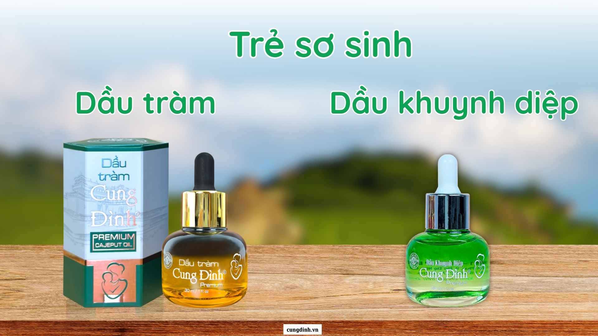 Dầu tràm vs Dầu khuynh diệp: Lựa Chọn Nào Phù Hợp Với Gia Đình Bạn?