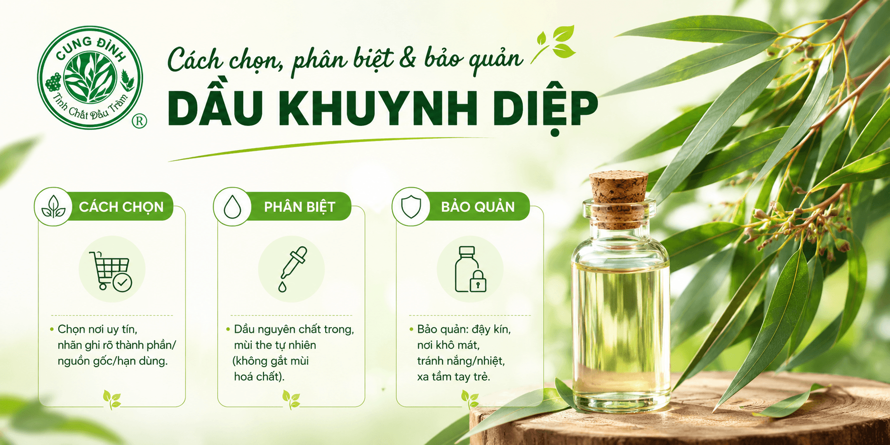 Cách dùng, phân biệt và bảo quản dầu khuynh diệp 