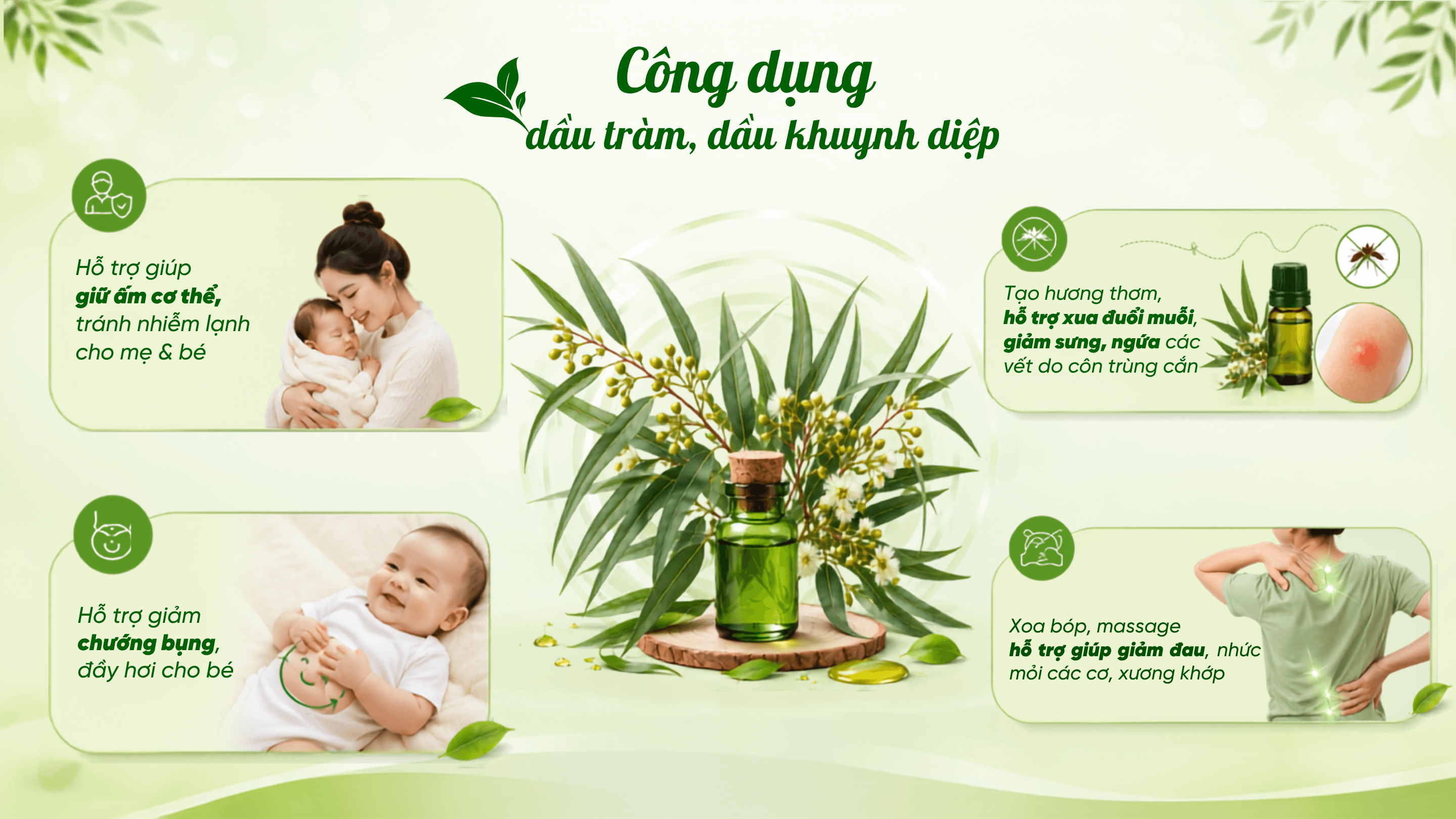 Công dụng của dầu tràm, dầu khuynh diệp