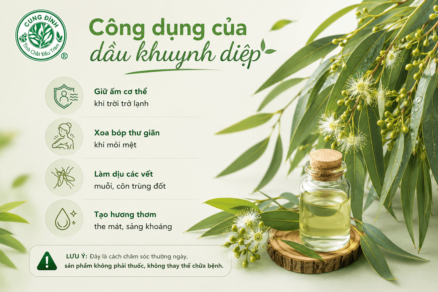 Công dụng của dầu khuynh diệp 