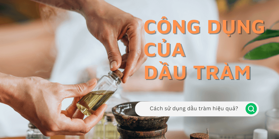 ong-dung-cua-dau-tram