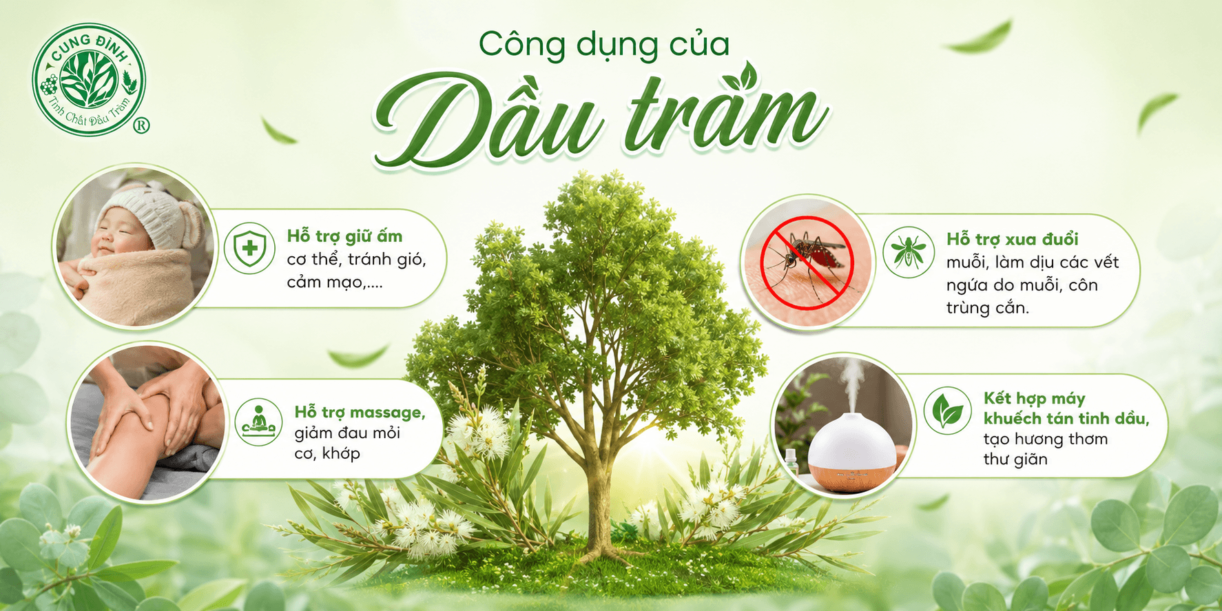 Công dụng của dầu tràm