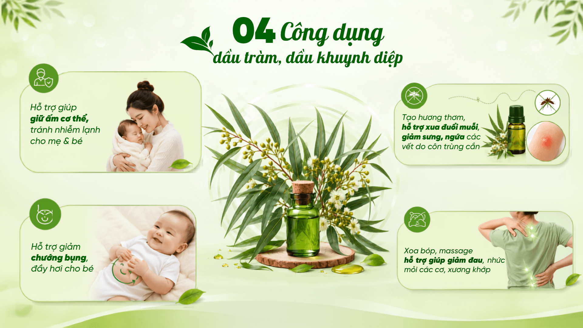 Công dụng của dầu tràm và dầu khuynh diệp