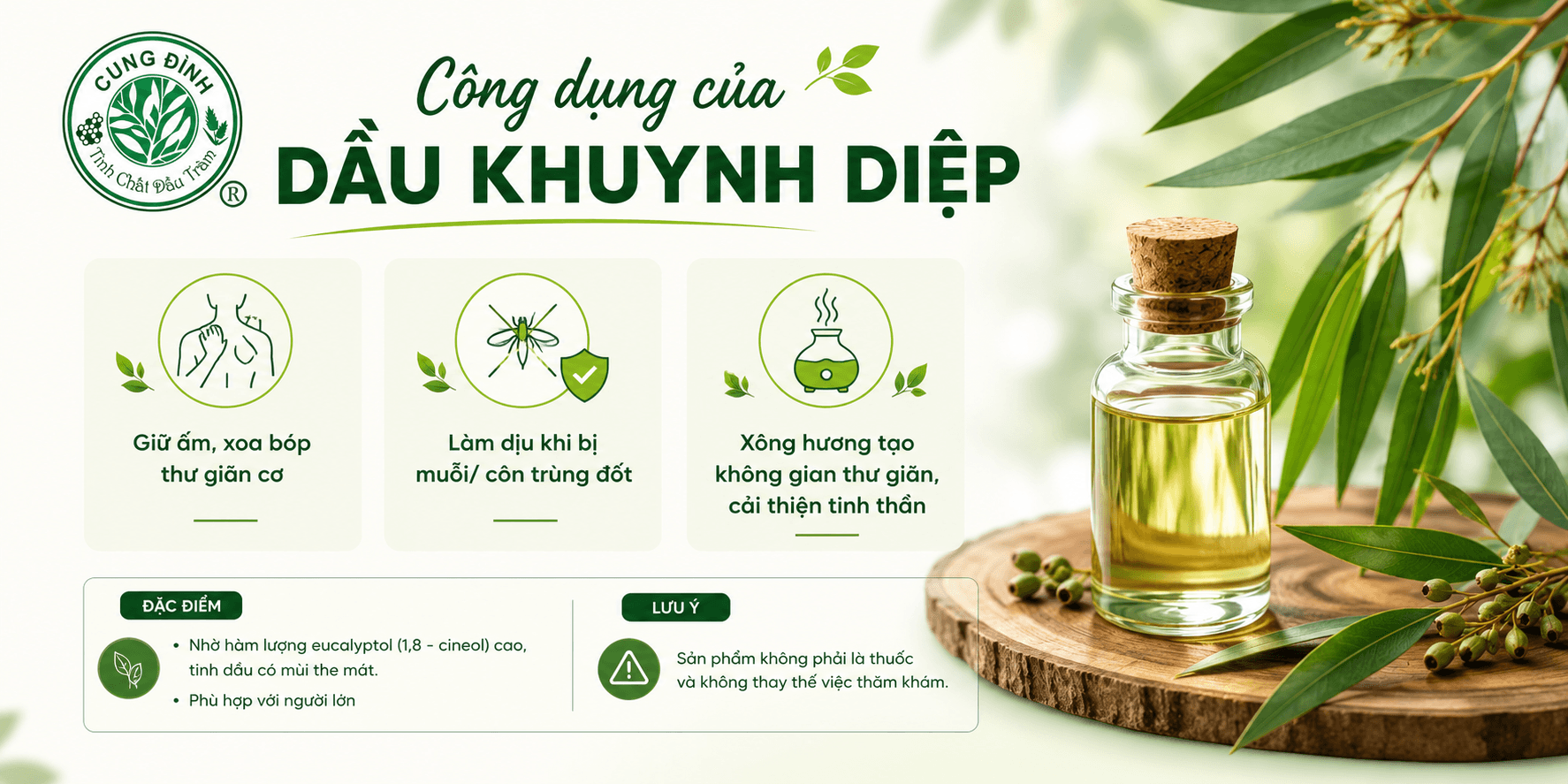 Công dụng của dầu khuynh diệp