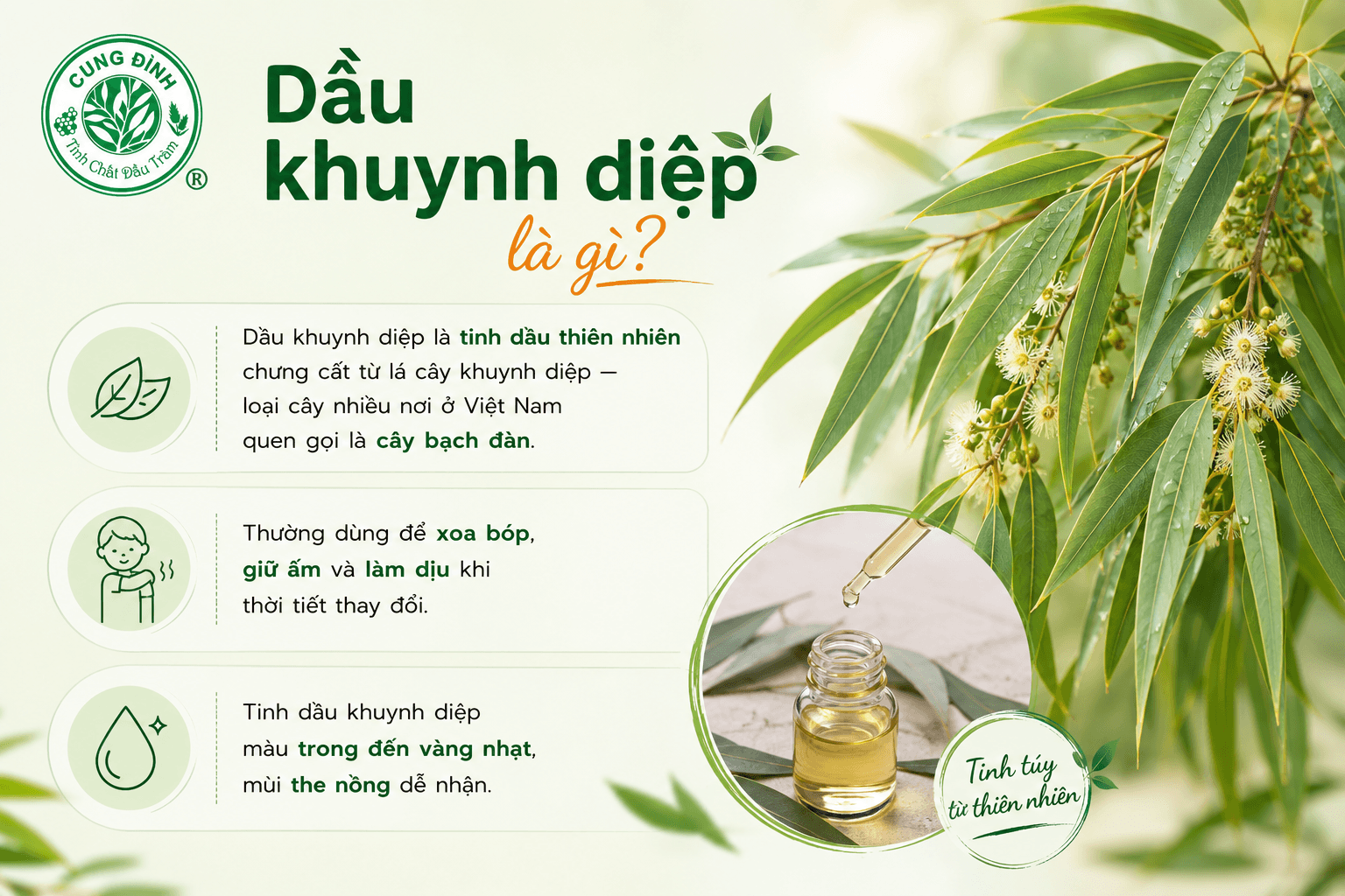 Dầu khuynh diệp là gì?