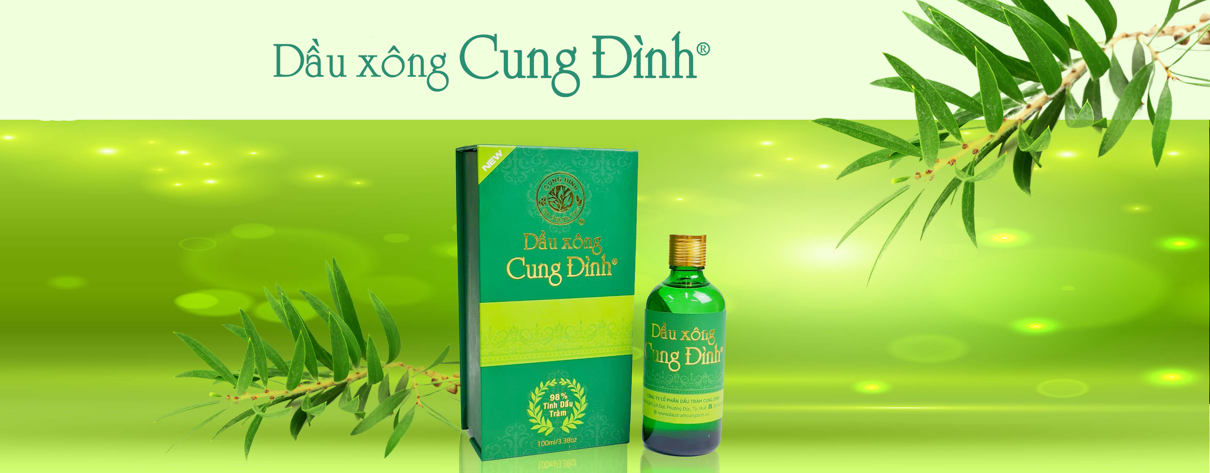 dau-xong-cung-dinh