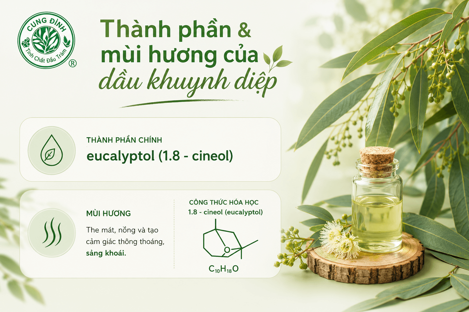 thành phần của dầu khuynh diệp