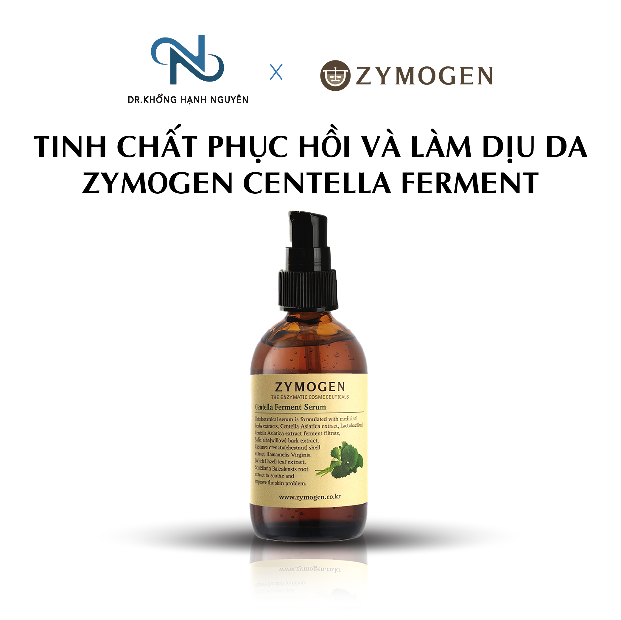 Serum Phục Hồi Và Làm Dịu Da Mụn Zymogen Centella Ferment