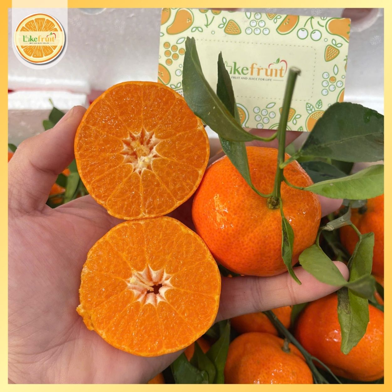 Cam Canh Tươi Vườn – Ngọt Đậm Tự Nhiên, Trưng Tết & Ăn Hàng Ngày