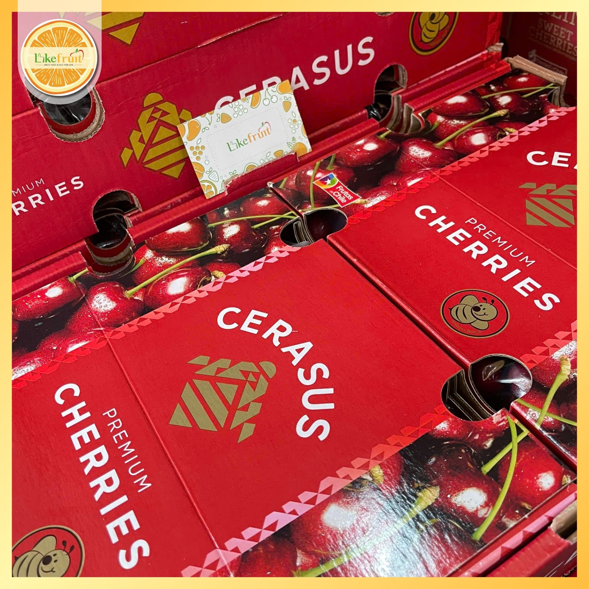 Cherry Chile Cerasus 2JD (Xách 2.5kg) – To vượt trội, giòn ngọt đậm vị Premium