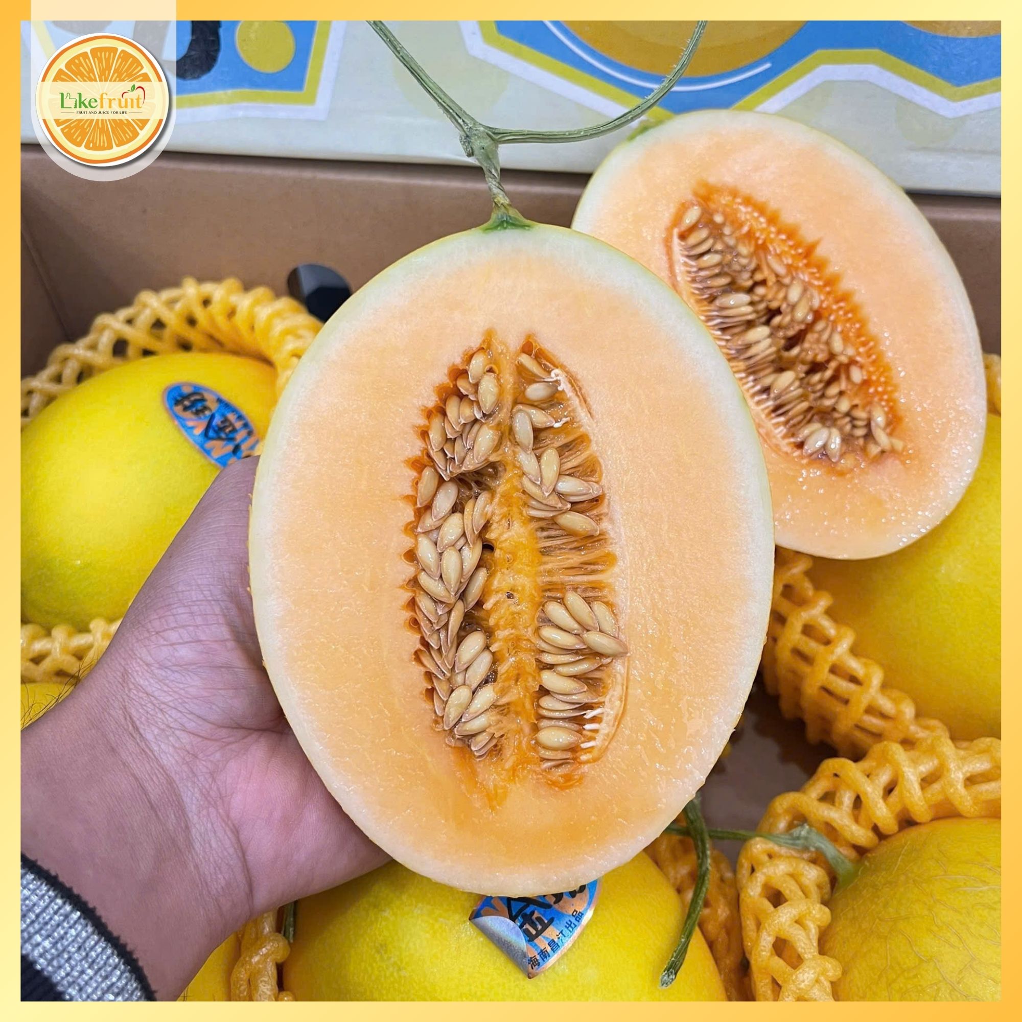 Dưa Vàng Mặt Trời SunnyO