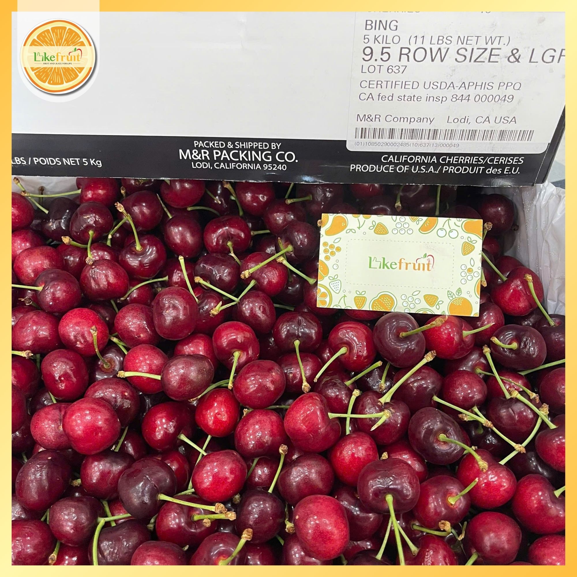 Cherry Mỹ Bing S9.5 – Trái To Đỏ Đậm, Giòn Ngọt Chuẩn Cherry Mỹ Cao Cấp