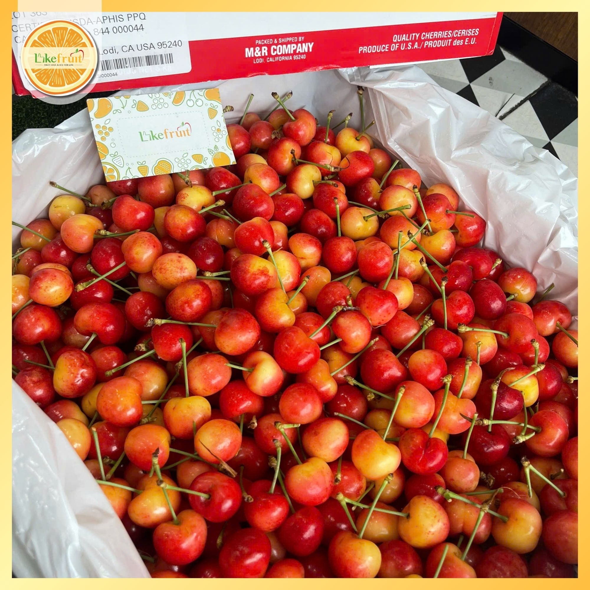Cherry Vàng Mỹ S10 PridePack – Siêu Phẩm Giòn Ngọt, Hiếm Mỗi Mùa