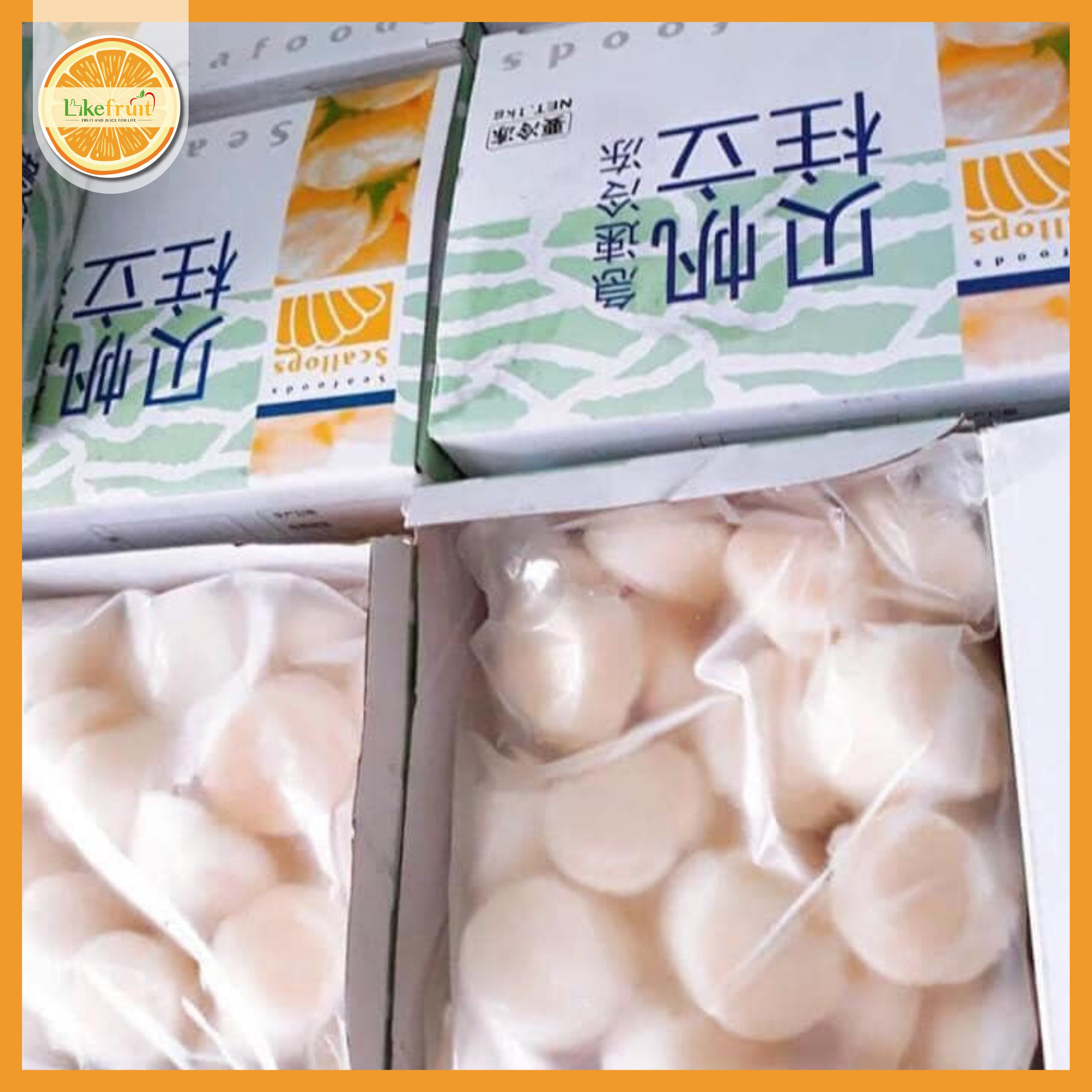 CỒI SÒ ĐIỆP Nhật size 20-25