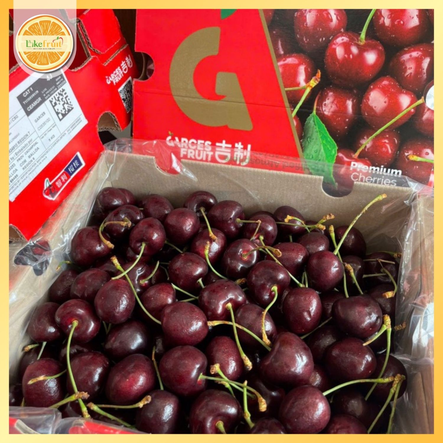 CHERRY CHILLE 4JD (xách 2.5kg)