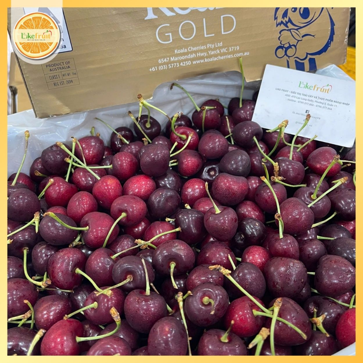 Cherry Đỏ Úc Koala S26 – Trái To Giòn Ngọt, Hàng Cao Cấp Tại Likefruit