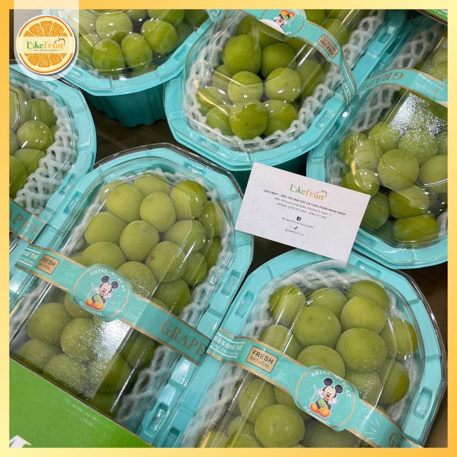 Nho Mẫu Đơn Shine Muscat 6 Hộp – Ngọt Thanh, Giòn Sang, Quà Tặng Chuẩn Cao Cấp