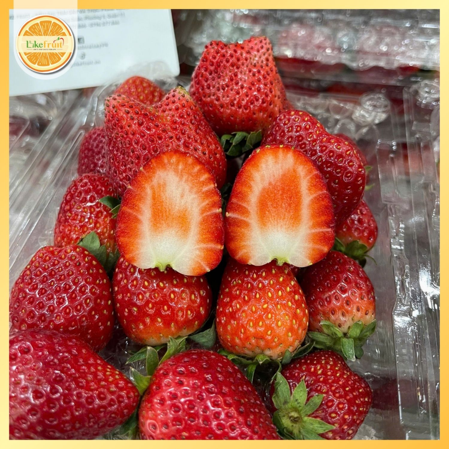 Dâu Hana Mộc Châu 500g – Tươi, ngon, Chuẩn Sạch Từ Nông Trại